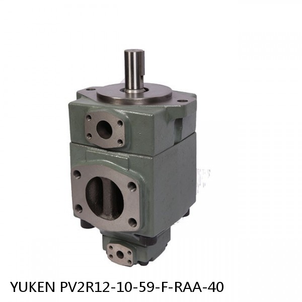 YUKEN PV2R12-10-59-F-RAA-40 Double Vane Pump
