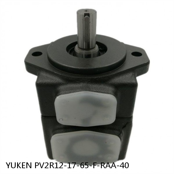 YUKEN PV2R12-17-65-F-RAA-40 Double Vane Pump