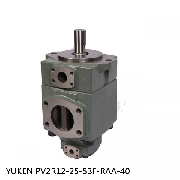 YUKEN PV2R12-25-53F-RAA-40 Double Vane Pump