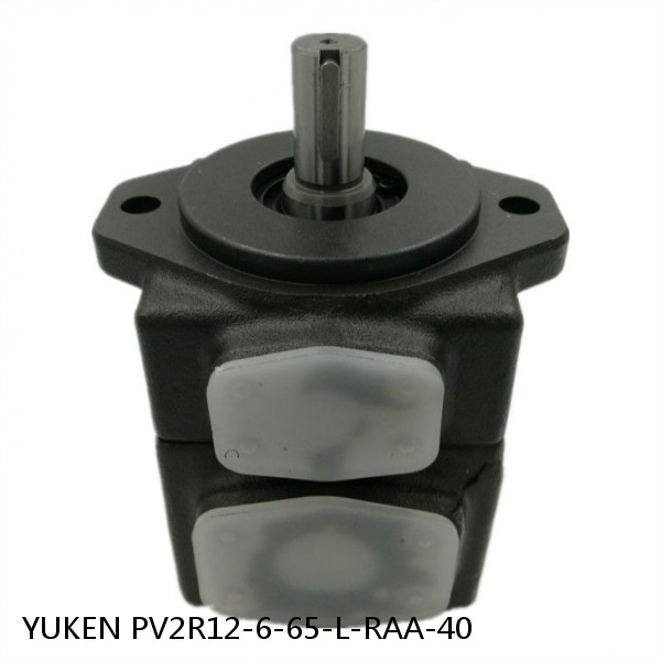 YUKEN PV2R12-6-65-L-RAA-40 Double Vane Pump