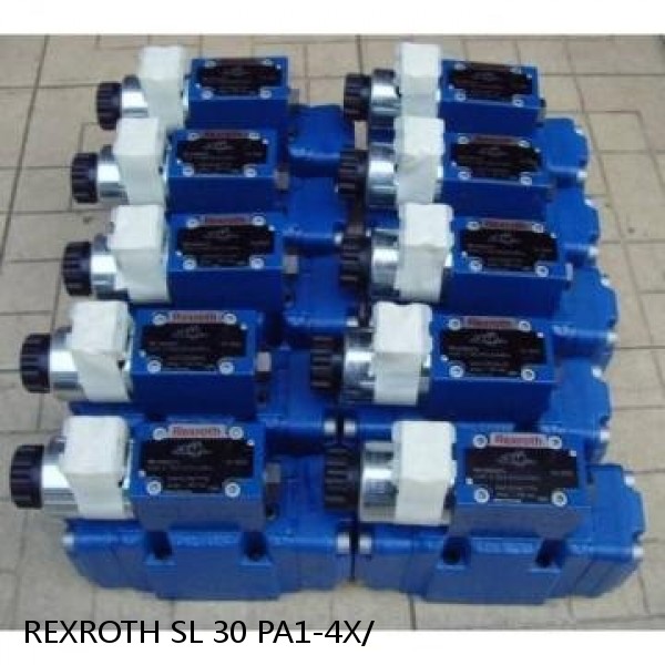 REXROTH SL 30 PA1-4X/ R900587560 HY-CHECK VALVE