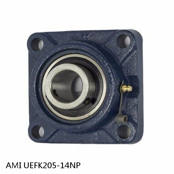 AMI UEFK205-14NP  Mounted Units & Inserts