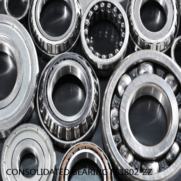 CONSOLIDATED BEARING F61802-ZZ  Single Row Ball Bearings