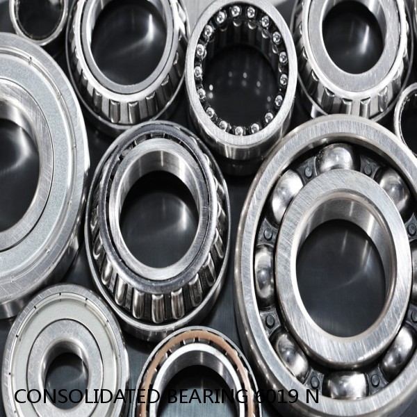 CONSOLIDATED BEARING 6019 N  Single Row Ball Bearings