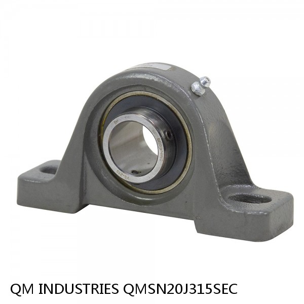 3.938 Inch | 100.025 Millimeter x 4.567 Inch | 116 Millimeter x 4.921 Inch | 125 Millimeter  QM INDUSTRIES QMSN20J315SEC  Pillow Block Bearings