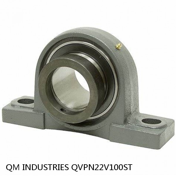 3.937 Inch | 100 Millimeter x 4.13 Inch | 104.902 Millimeter x 4.921 Inch | 125 Millimeter  QM INDUSTRIES QVPN22V100ST  Pillow Block Bearings