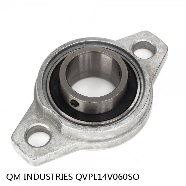 2.362 Inch | 60 Millimeter x 3.19 Inch | 81.026 Millimeter x 2.756 Inch | 70 Millimeter  QM INDUSTRIES QVPL14V060SO  Pillow Block Bearings