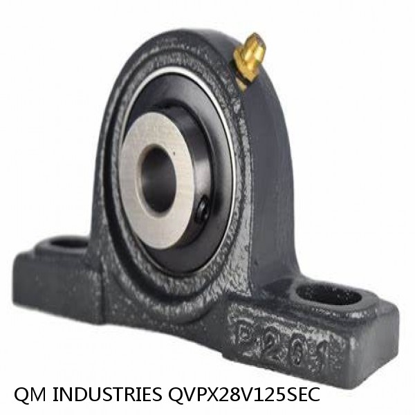 4.921 Inch | 125 Millimeter x 5.827 Inch | 148 Millimeter x 6.126 Inch | 155.6 Millimeter  QM INDUSTRIES QVPX28V125SEC  Pillow Block Bearings