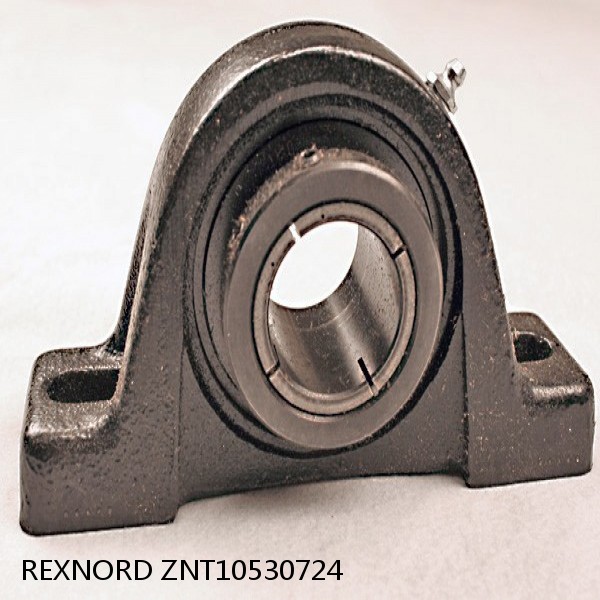 REXNORD ZNT10530724  Take Up Unit Bearings