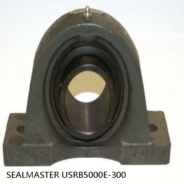 3 Inch | 76.2 Millimeter x 3.875 Inch | 98.425 Millimeter x 3.25 Inch | 82.55 Millimeter  SEALMASTER USRB5000E-300  Pillow Block Bearings